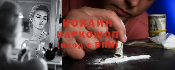 ешки Бородино