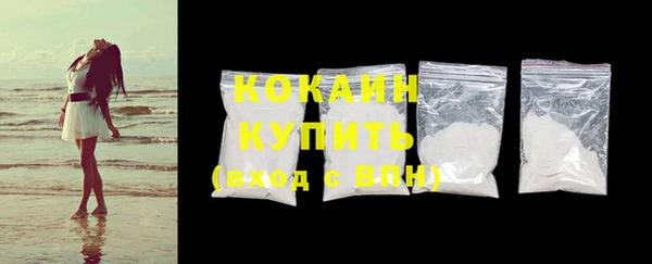 ешки Бородино