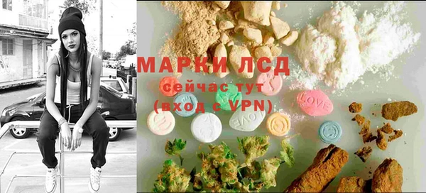 ешки Бородино