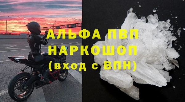 ешки Бородино