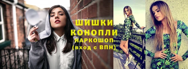 ешки Бородино