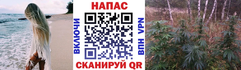 Бошки Шишки Amnesia  ОМГ ОМГ зеркало  Новосибирск  хочу  